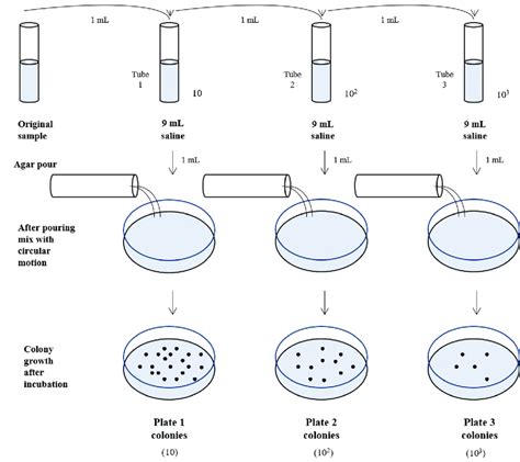 select odd one out for heterotrophic bacteria|Heterotrophic Plate Count: What is HPC and when is the right time to.